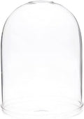 Plymor 5.5" x 8" Glass Display Dome Cloche (Clear Glass Tray Base), Pack of 6 by Plymor