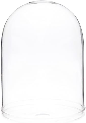 Plymor 5.5" x 8" Glass Display Dome Cloche (Clear Glass Tray Base), Pack of 6 by Plymor