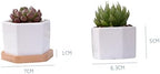 BESPORTBLE 3 Set Small Ceramic Hexagonal Succulent Pots Planter Pot Stand Geometric Planter with Bamboo Tray - Image 5