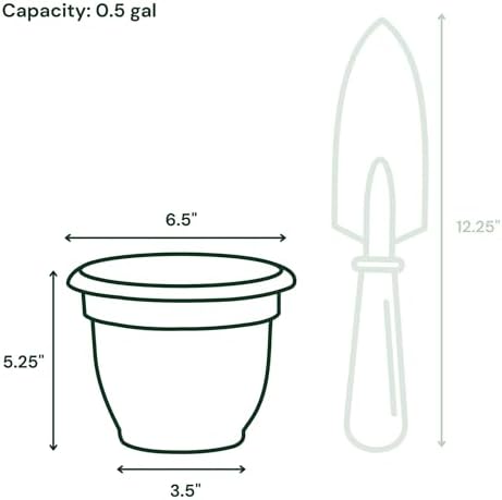 Bloem Ariana 6" Plastic Self-Watering Planter, Terra Cotta, 4-Pack - Image 3