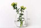 Kingbuy Wall Hanging Planter Glass Propagation Terrarium 3 Hexagon Shape and 4 Egg Shape Flower Vase for Home Office Christmas Decor - Image 7
