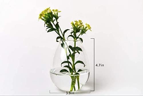 Kingbuy Wall Hanging Planter Glass Propagation Terrarium 3 Hexagon Shape and 4 Egg Shape Flower Vase for Home Office Christmas Decor - Image 7