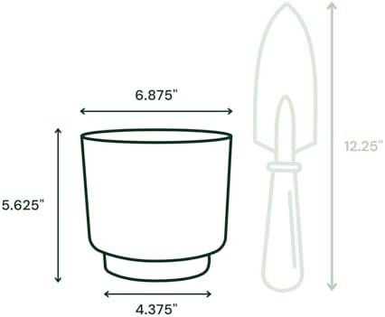Bloem Harlow 6" Plastic Planter, Modern Design, Vanilla Bean, 4-Pack - Image 3