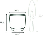 Bloem Harlow 6" Plastic Planter, Modern Design, Vanilla Bean, 4-Pack - Image 3