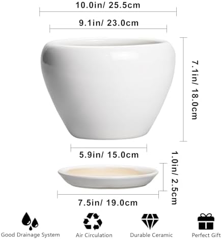 Ceramicfor Ceramic Pot for Plants - 10 Inch Planter with Drainage Hole and Saucer, Glaze Modern Round Flower Pot for Indoor Plants, Housewarming Gift, Home Decor, White - Image 3