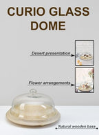 Serene Spaces Living Curio Glass Dome with Natural Wooden Base, Airplants, Flower Blooms, Accessories, Photos, Candles, Dessert Display, Home, Office Decor, Gift Idea - 12" Diameter & 6" Tall - Image 6