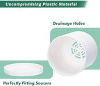 D'vine Dev 6-Pack White Plastic Planters with Saucers, 5 in, 74-Z-G-3 - Image 4