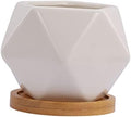 TOYANDONA 3 Sets Ceramic Succulent Flower Pots Drainage Tray Unique Planters for Indoor and Outdoor Decoration by TOYANDONA