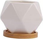 TOYANDONA 3 Sets Ceramic Succulent Flower Pots Drainage Tray Unique Planters for Indoor and Outdoor Decoration by TOYANDONA