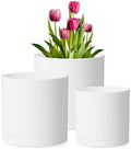 Meowell 12/10/8 inch Large Plant Pots, 3 Pack Deep Cylinder Flower Pots for Outdoor Indoor Plants, Tall Plastic Planters with Drainage Holes and Saucers for Garden House Plants, White by Meowell
