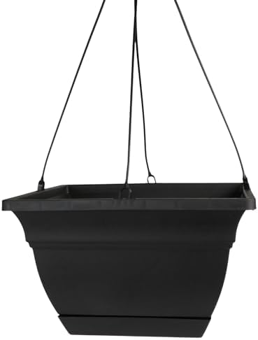 The HC Companies Eclipse Square Hanging Planter for Indoor Plants - Contemporary Hanging Plant Pot w/Attached Saucer - Lightweight & UV-Resistant Hanging Plant Holder (12" Black, Pack of 1) by TheHCCompanies