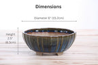 Willow Bonsai Ceramics Lily Bonsai Pot 6 Inch – Sculpted Rounded Ceramic Bonsai & Succulent Planter with Wavy Profile, High‑Fired Frost‑Proof Stoneware, Handmade in USA (Peacock, 6inch) - Image 4