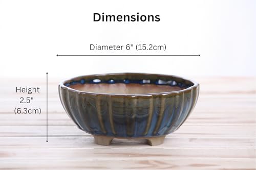 Willow Bonsai Ceramics Lily Bonsai Pot 6 Inch – Sculpted Rounded Ceramic Bonsai & Succulent Planter with Wavy Profile, High‑Fired Frost‑Proof Stoneware, Handmade in USA (Peacock, 6inch) - Image 4