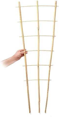 SWANGSA 6 Pack 3Ft Bamboo Trellis for Climbing Plants,35.5 Inch Fan-Shaped Bamboo Plant Trellis with 100pcs Twist Ties for Outdoor and Indoor Potted Plants Garden Stakes - Image 6