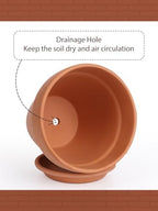 INGOFIN 12 Inch Terracotta Pot with Saucer - Ceramic Clay Pot for Plants with Drainage Hole, Large Terra Cotta Flower Planter with Tray for Indoor Outdoor Plants - Image 3