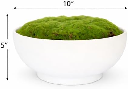 Ceramic Moss Bowl | 10 Inch | Artificial Moss Centerpiece | Minimalist Decorative Bowl - Image 3