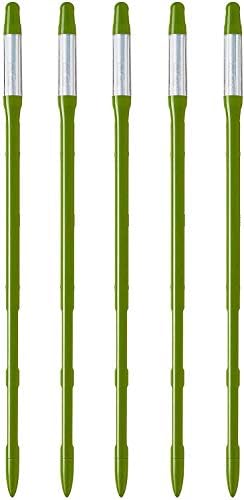 Sustee Aquameter, Set of 5, Plant Soil Moisture Sensor (Green, Large) by SUSteexIPPINKA