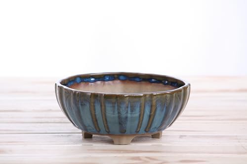 Willow Bonsai Ceramics Lily Bonsai Pot 6 Inch – Sculpted Rounded Ceramic Bonsai & Succulent Planter with Wavy Profile, High‑Fired Frost‑Proof Stoneware, Handmade in USA (Peacock, 6inch) - Image 3