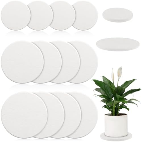 12Pack Diatomaceous Earth Coaster 4/6/8inch Diatomite Plant Saucer Stone Plant Sourcer Instant Dry Water Absorbent Diatomite Tray Water Absorbent Plant Coasters Absorbent Pad Diatomaceous Earth Mat by ZBHANSHUIS