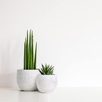 Olly & Rose Ceramic Cream Gold Plant Pot Set 2-6.8" and 5.5" Indoor Planters Cement Outdoor Flower Pots - Image 2