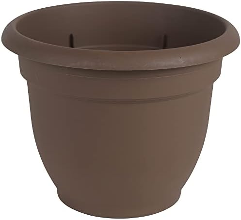 Bloem Ariana Self Watering Planter: 16" - Chocolate - Durable Resin Pot, for Indoor and Outdoor Use, Self Watering Disk Included, Gardening, 6 Gallon Capacity by Bloem