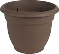 Bloem Ariana Self Watering Planter: 16" - Chocolate - Durable Resin Pot, for Indoor and Outdoor Use, Self Watering Disk Included, Gardening, 6 Gallon Capacity by Bloem