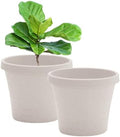 Bloem Terra 16" Plastic Planter, 8 Gallon, Vanilla Bean, 2-Pack by Bloem