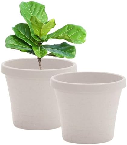 Bloem Terra 16" Plastic Planter, 8 Gallon, Vanilla Bean, 2-Pack by Bloem