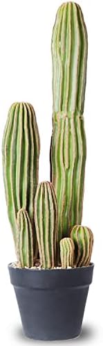 Artificial Cactus Fake Big Cactus 24 Inch Faux Cacti Plants for Home Garden Office Store Decoration by AntHousePlant