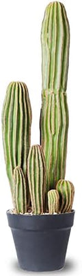 Artificial Cactus Fake Big Cactus 24 Inch Faux Cacti Plants for Home Garden Office Store Decoration by AntHousePlant
