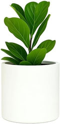 Fox & Fern Large Planter for Indoor or Outdoor, Matte White, 12 Inch by FoxFern