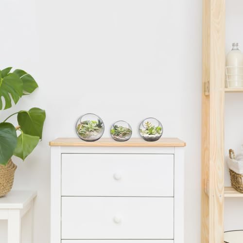 Mipcase 3 Pack Slanted Glass Terrarium Set, Clear Bubble Planter Globe - Image 5