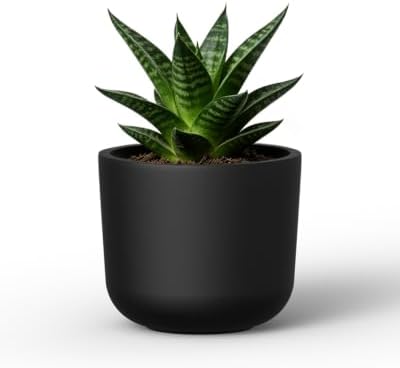 Kante Black Round Concrete Planter 11" Dia for Modern Home with Drainage by Unknown