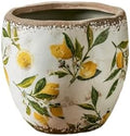Plant Pots Spring Lemons Pattern Planter Succulent Pots 4" D - 7.3" D Large Planter Pots with Drainage Hole, Decorative Garden Pots Round Ceramic Pots Outdoor Plant Pots Spring Decor by Unknown