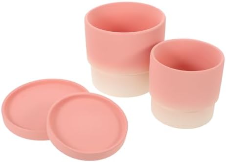 2pcs Ceramic Flower Pot Set with Drainage Holes for Indoor Plants Xmas by VANZACK