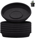 Bloem Terra Plastic Saucer Tray for 12" Terra Planters, Black, 6-Pack by Bloem