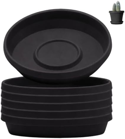 Bloem Terra Plastic Saucer Tray for 10" Terra Planters, Black, 6-Pack by Bloem