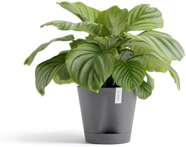 Ecopots Venice 2 Round Flower Planter with Water Reservoir, Grey, 8" - Image 3