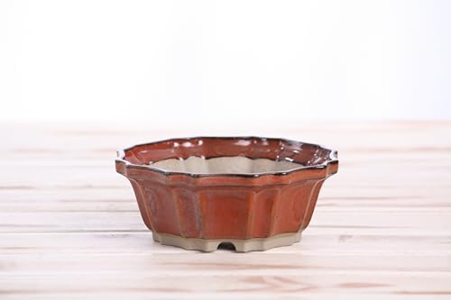 Willow Bonsai Ceramics Flower Design Bonsai Pot 5 Inch – Elegant Ceramic Bonsai & Succulent Pot, High‑Fired Frost‑Proof Stoneware with Drainage+Wiring Holes, Handmade USA (Sunset, 5inch) - Image 2