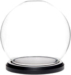 Plymor 5" x 6" Glass Display Dome Globe Cloche (Black MDF Wood Base), Pack of 12 by Plymor