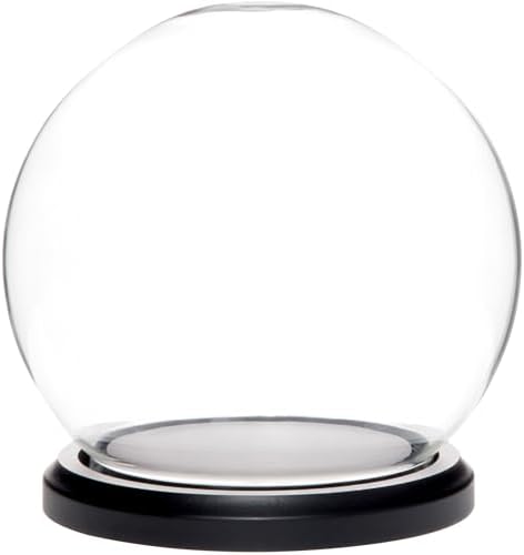 Plymor 5" x 6" Glass Display Dome Globe Cloche (Black MDF Wood Base), Pack of 12 by Plymor