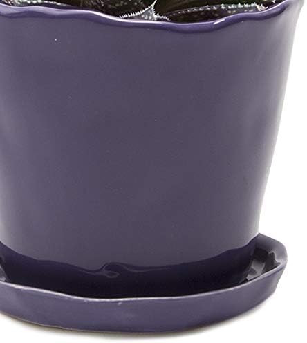 CHIVE ‘Tika’ Big Succulent Pot — 5” Cute Planter Pots for Indoor Plants — Beautiful Modern Decor for Home & Kitchen — Purple - Image 2