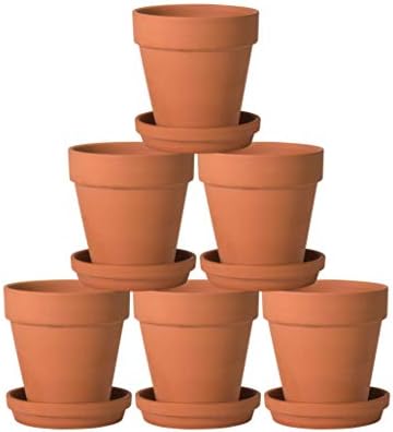 D'vine Dev 6-Pack Terracotta Plant Pots with Saucers, 5 in, 588-A-1-5 - Image 7