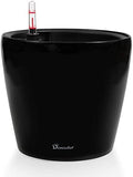 Dexceder 9x8 Self Watering Planter (Black High Gloss) by Dexceder