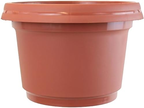 Flower Pot and Saucer, 12 Inch Terra Cotta, Case of 5 - Image 3