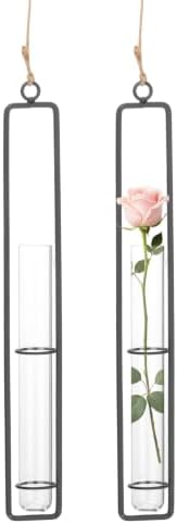 METALLIXITY Hanging Clear Glass Hydroponic Plant Propagation Tube Vase 2Pcs by METALLIXITY