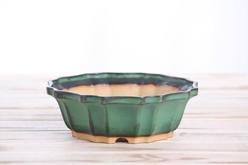 Willow Bonsai Ceramics Flower Design Bonsai Pot 6.5 Inch – Elegant Ceramic Bonsai & Succulent Planter, High‑Fired Frost‑Proof Stoneware with Drainage & Wiring Holes, Handmade in USA (Avocado) - Image 2