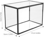 Glass Terrarium Plant Holder for Flowers and Patio Garden Display - Image 2
