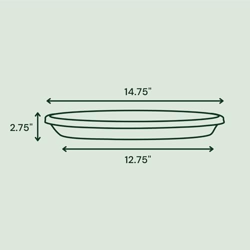 Bloem Terra 16" Round Plastic Plant Saucer, Lightweight UV-Resistant Indoor/Outdoor Flower Pot Tray - Fits 16-inch Planter Pots, Vanilla Bean, 2-Pack - Image 2