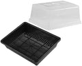 Levemolo 1 Set Reusable Plastic Plant Tray with Humidity Dome Nursery Starter Tray for Seedling Germination for Gardening for Flowers Fruits and Vegetables by levemolo